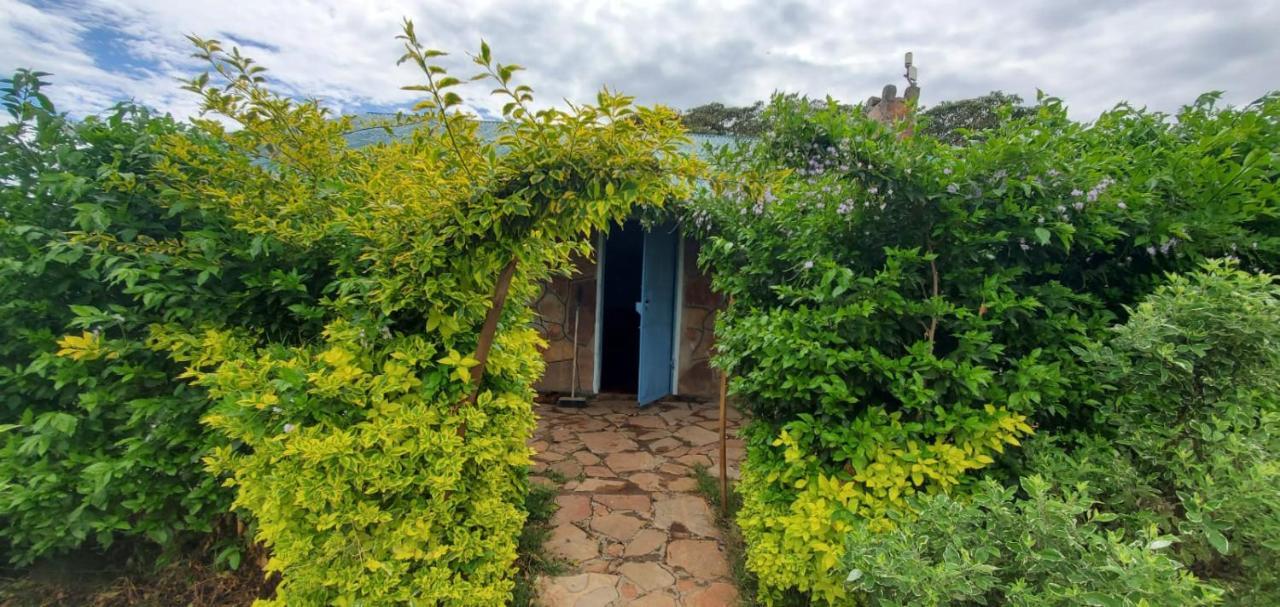 Luxurious Haven Maasai Mara Safari Camp In Kenya Bed & Breakfast Sekenani Exterior photo