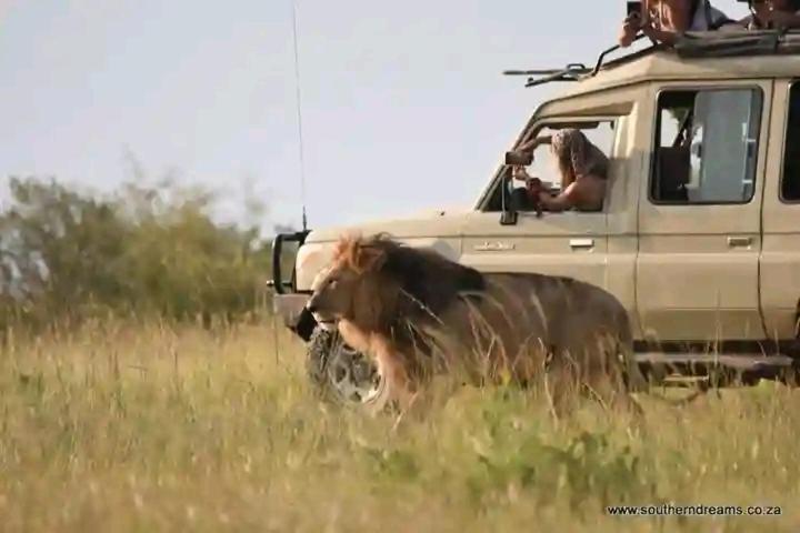 Luxurious Haven Maasai Mara Safari Camp In Kenya Bed & Breakfast Sekenani Exterior photo