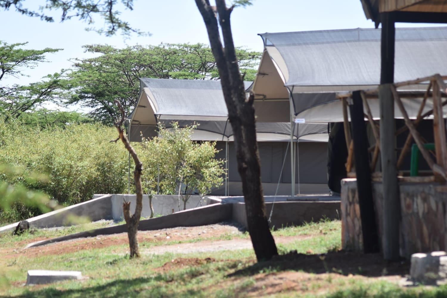 Luxurious Haven Maasai Mara Safari Camp In Kenya Bed & Breakfast Sekenani Exterior photo